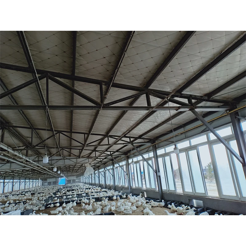 1000 кв. М большая пролетная сборная стальная конструкция птицеферма сарай для бройлеров отгустных куриц птицефабрика Пакистан