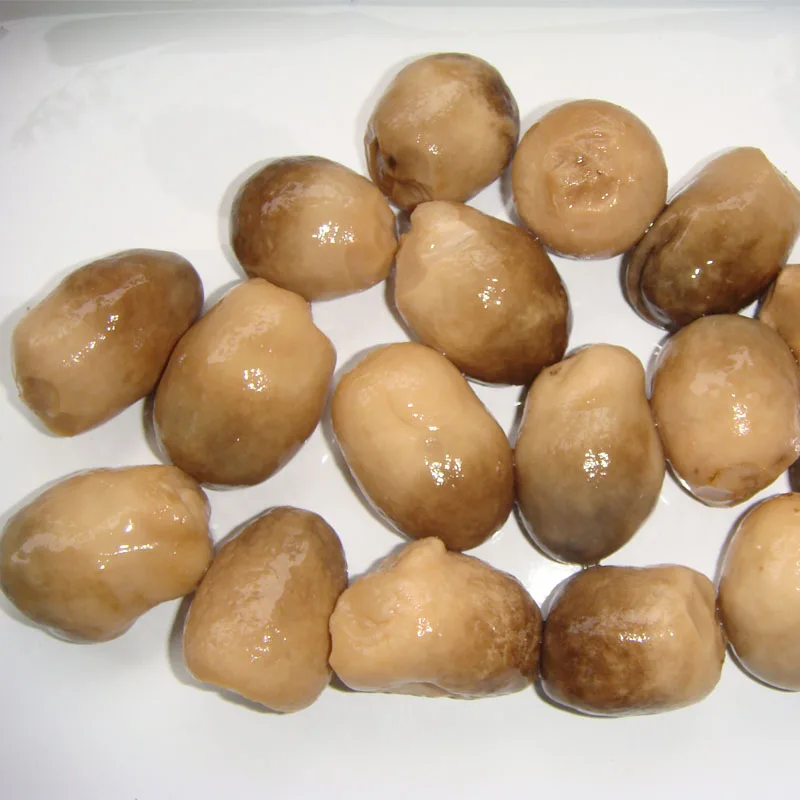 Консервированные грибы из луженых грибов, Лидер продаж, сезон соломенных грибов