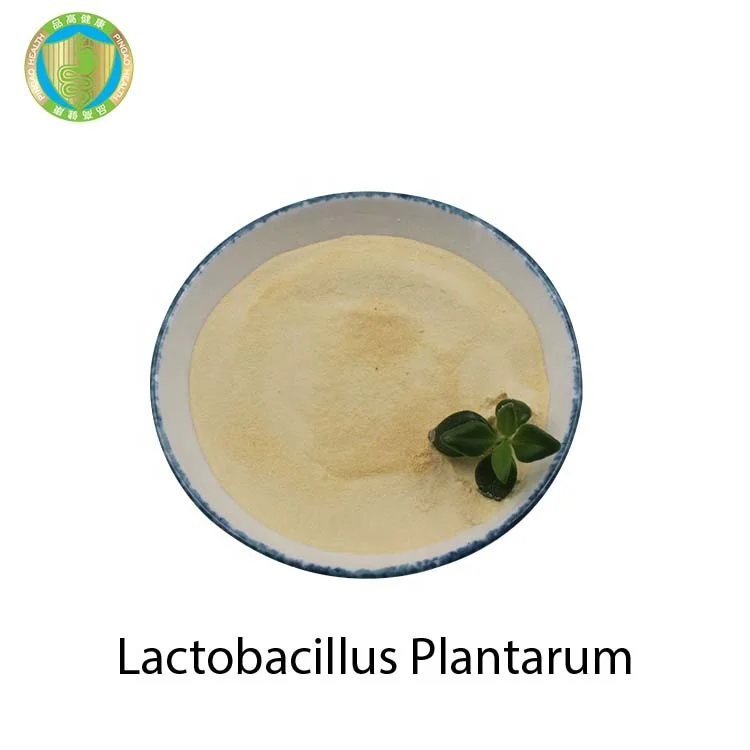 The Latest Design Fish Feed Additives Lactobacillus Plantarum Probiotic Powder