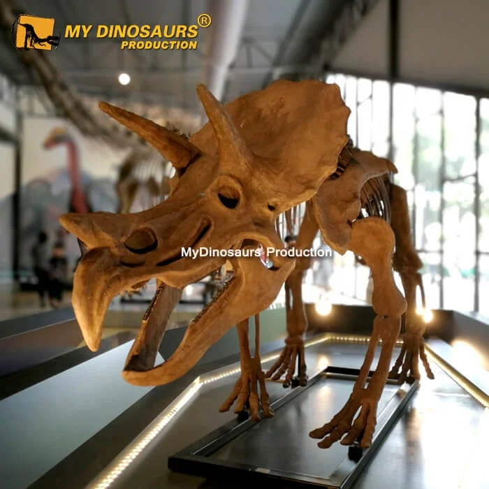  MY DINO DS099 скелет динозавра из стекловолокна для