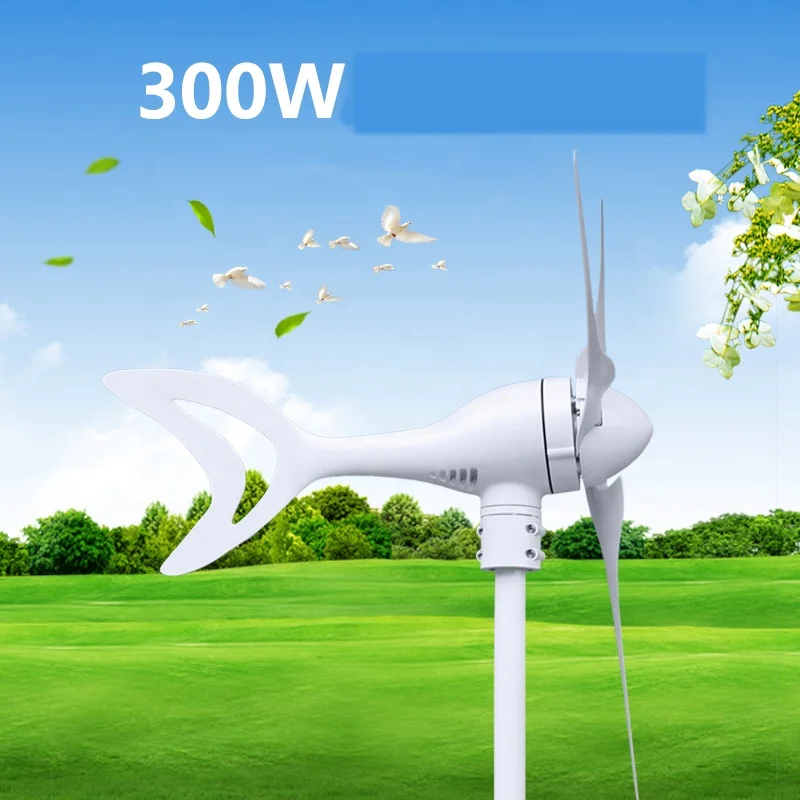 Ветровая генераторная турбина Бытовая ветровая турбина 12V/24v ветроэнергетическое оборудование 300w