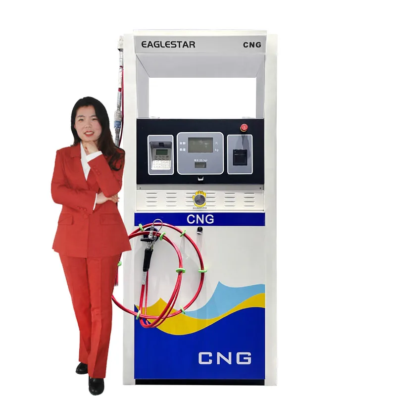 Cng Filling Machine Compressed Natural Gas Dispenser Cng Dispenser For Gas Station