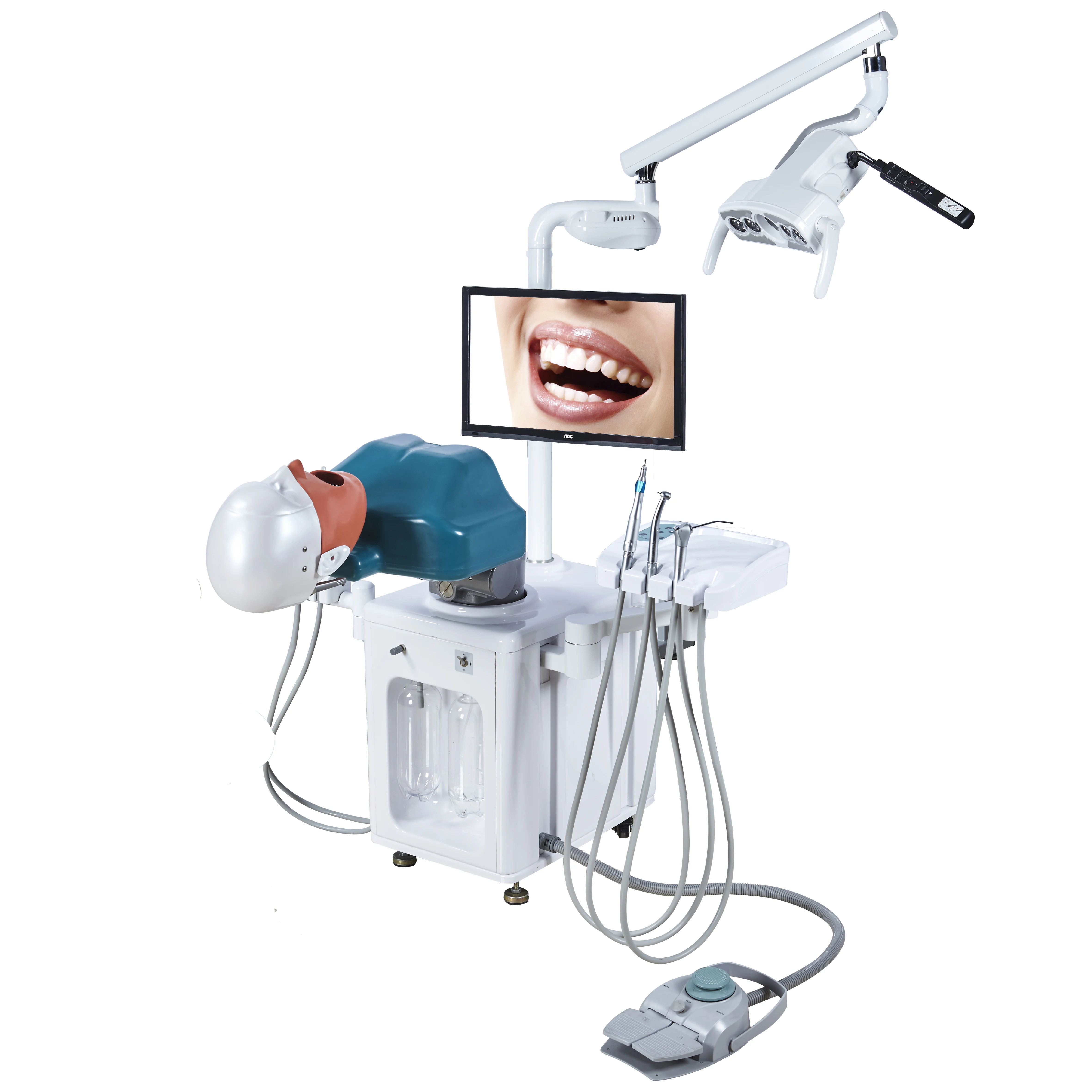 Dental Simulator Manikin Phantom Head Model with 360-Degree Adjustment Resin Teeth Plastic Metal Steel Training Model