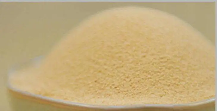 Кормовые Дрожжи Saccharomyces cerevisiae 60