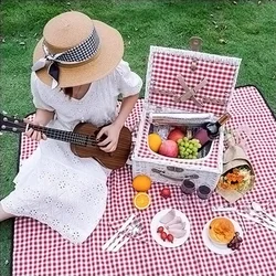 2022 Modern style Best sell Picknickmand Plastic With Lid Black Rattan Picnic Basket for storage