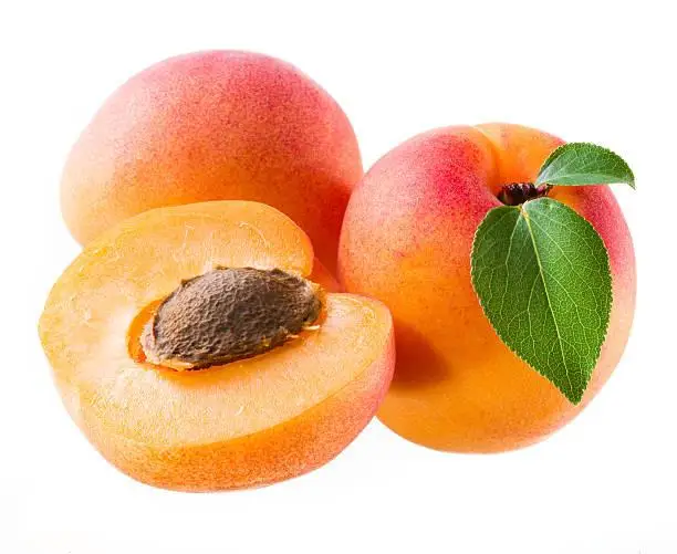 
High quality delicious 100% natural stone fruit class A yellow New Zealand fresh apricots 