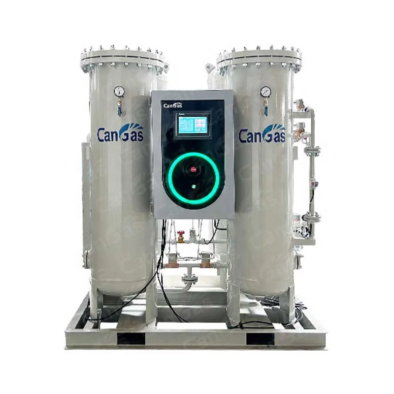 China Best Factory CANGAS PSA Nitrogen Gas Generator with High-quality Free After Service CE&ISO in Plastics & Rubber Industries