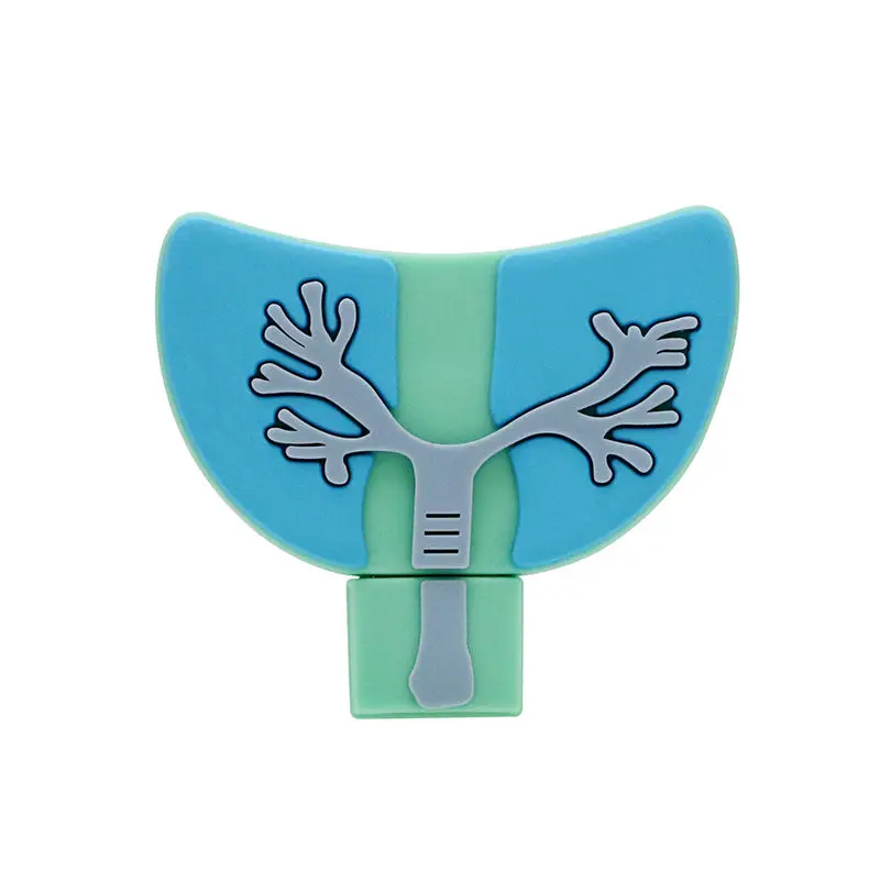 Promotional Medical Hospital USB 8GB 16GB 32GB 2.0 Cool Human Condoms Heart Model Shaped Memory Storage High Speed For Doctor