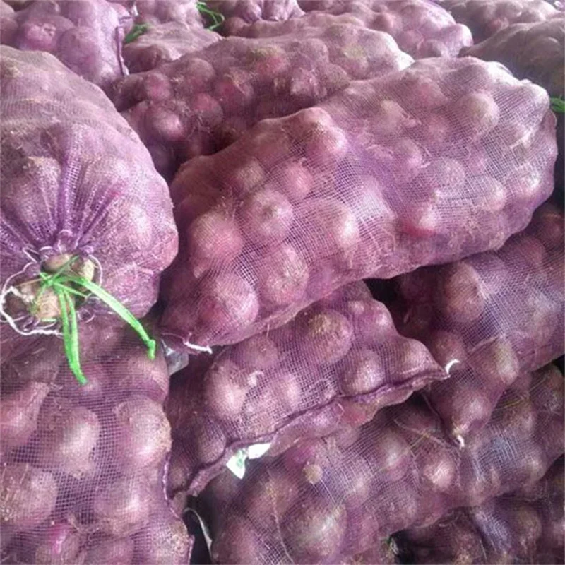 Customized Logo PP/PTE Onion Mesh Bag Fruit Vegetables Plastic Tubular Mesh Bag for Potatoes Onions