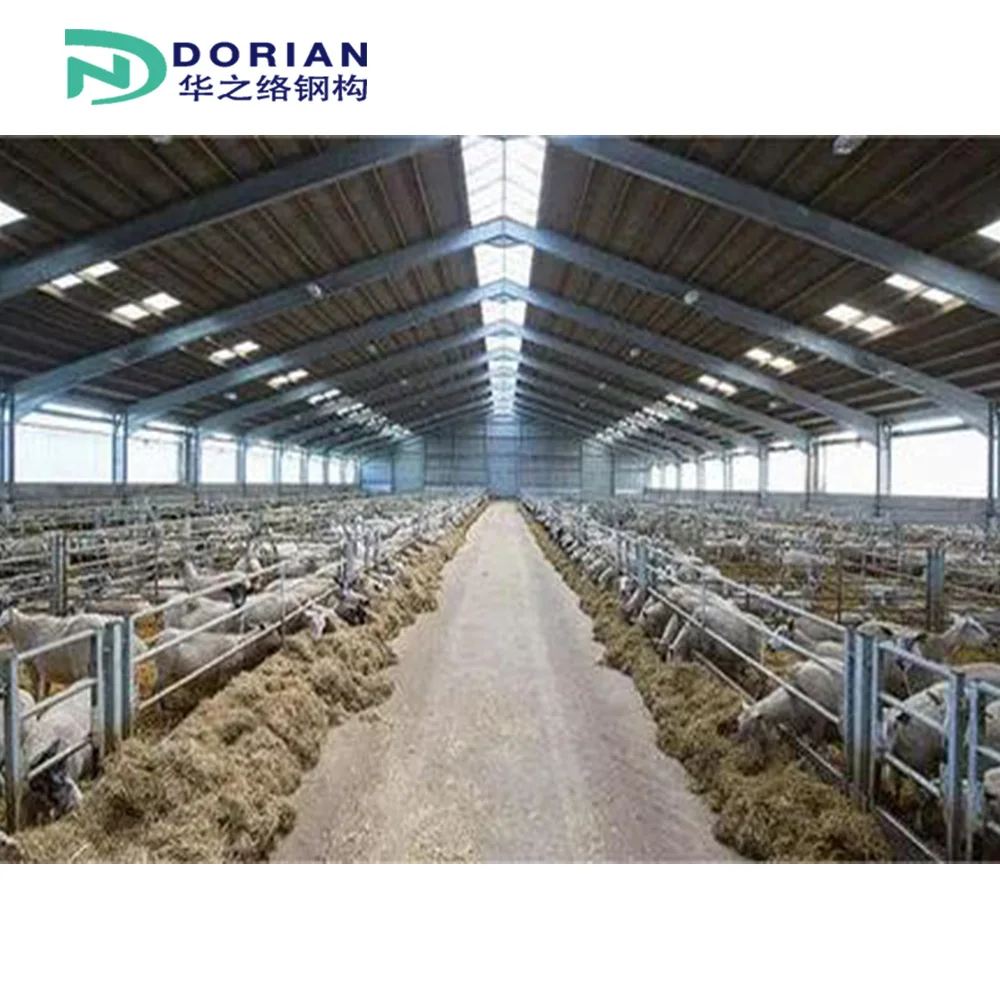 Steel Structure Sheep Goat House Low Cost Materials Farming Poultry Shed For Sale