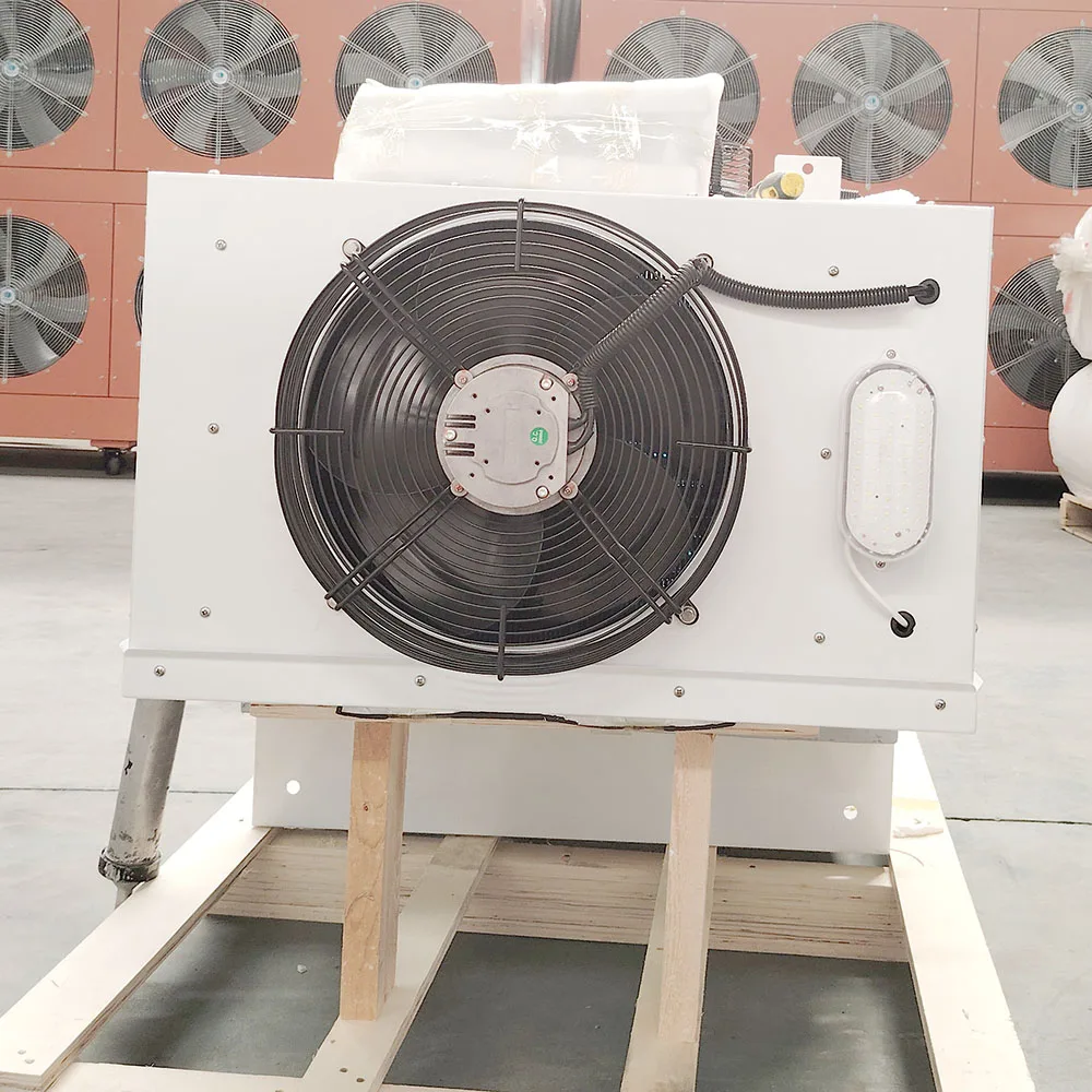 Best Selling Chiller Cold room for icecream storage wall mounting type  mono block system Brand Compressor Cold room