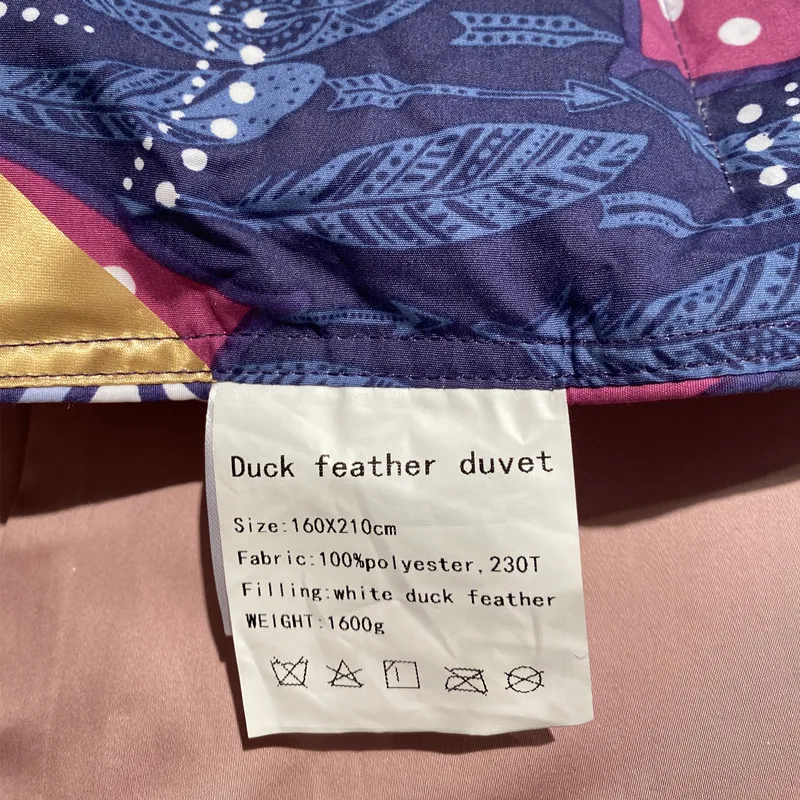 Duvet wholesale hotel white duck down feather for winter spring and autumn warm core factory direct sale down comforter