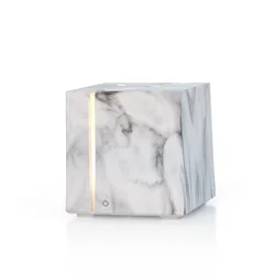 2019 New Ultrasonic Aromatherapy Essential Oil Humidifier Air Purifier