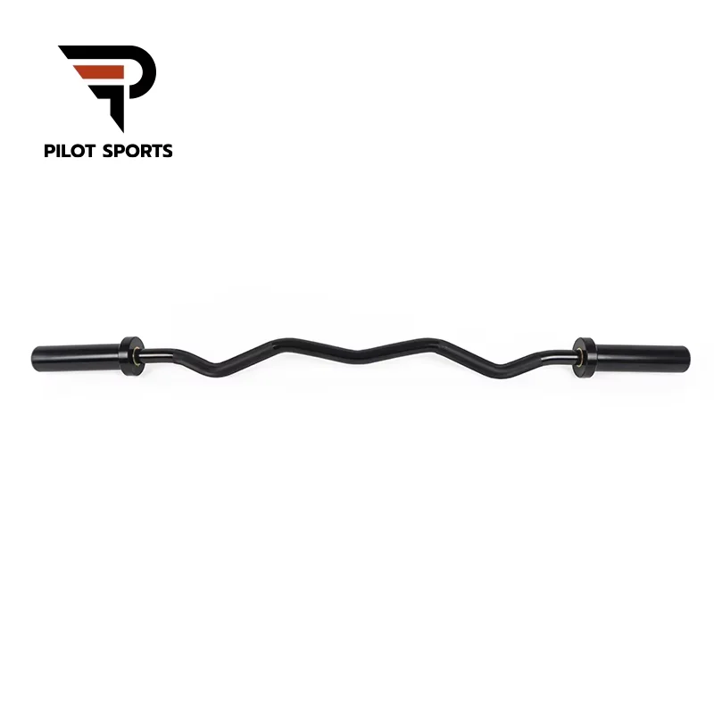 Pilot Sports Supplier Bench Press Squat Bar Power Weight Lifting 10 kg 15 kg 20 kg Regular Barbell Bar