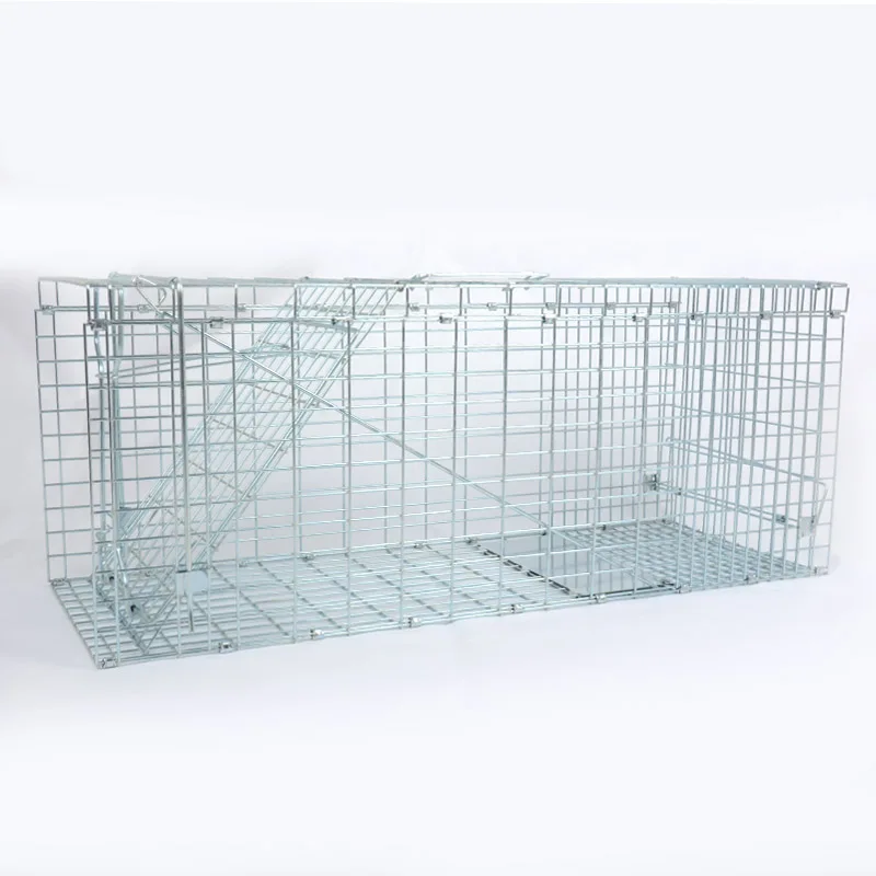 Wolf Nutria Badger Coyote Muskrats Skunk Dog Live Possum Rabbit Raccoon Squirrel Wild Animal Cage Trap Fox Cats for sale