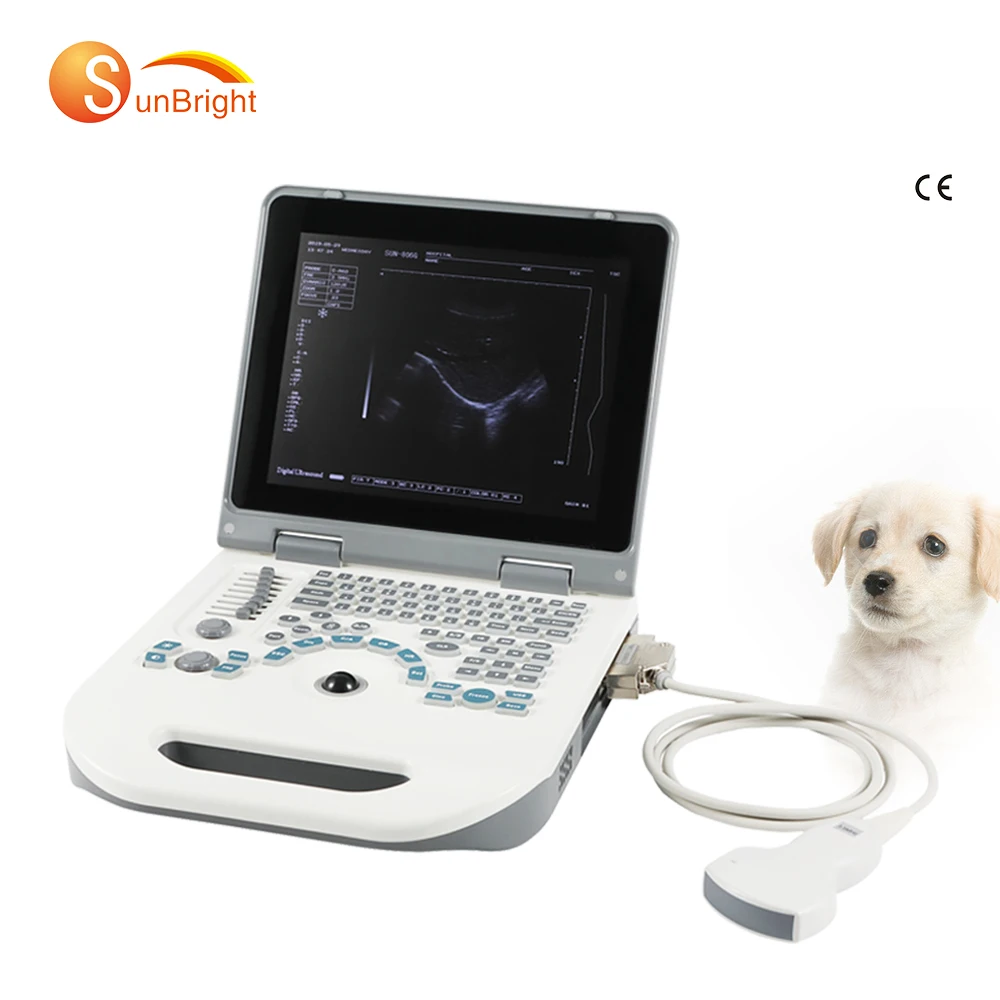 Ноутбук B/W полный цифровой 12 1 дюймов vet Ecograph Scanner 2D ультразвук