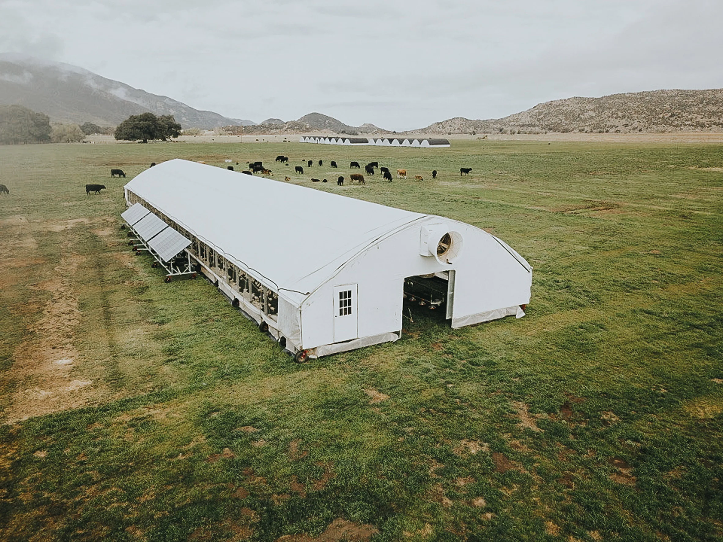 Mobile broiler House structures breeding greenhouse solar-powered robot chicken coop house poultry farm