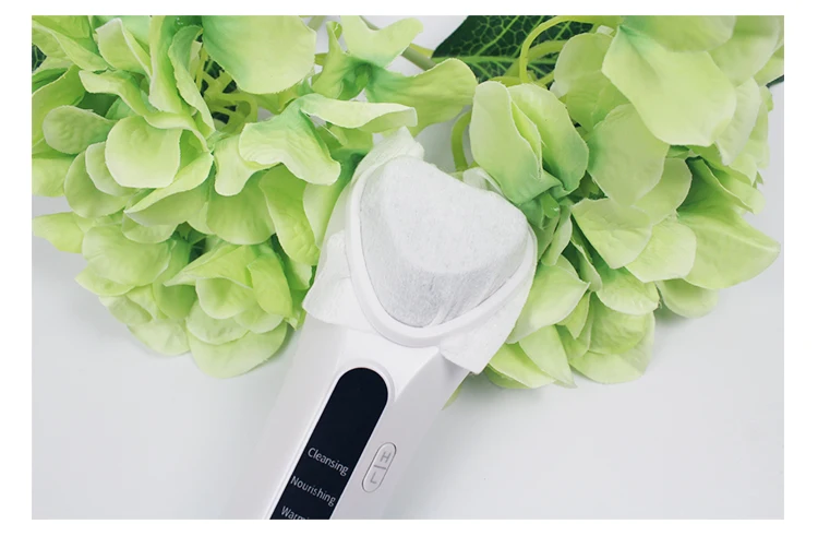 Deep Nourish Import Warm Export Ion Facial Clean Massager for Gift