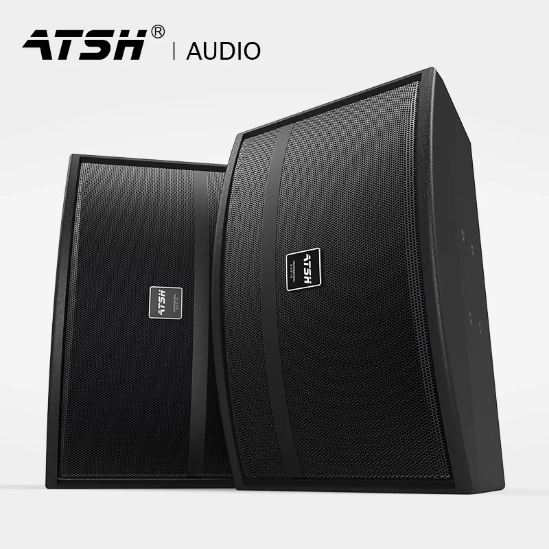 Export Central and South Asian family ktv card package audio stage conference room 10 inch woofer karaoke OK speaker direct