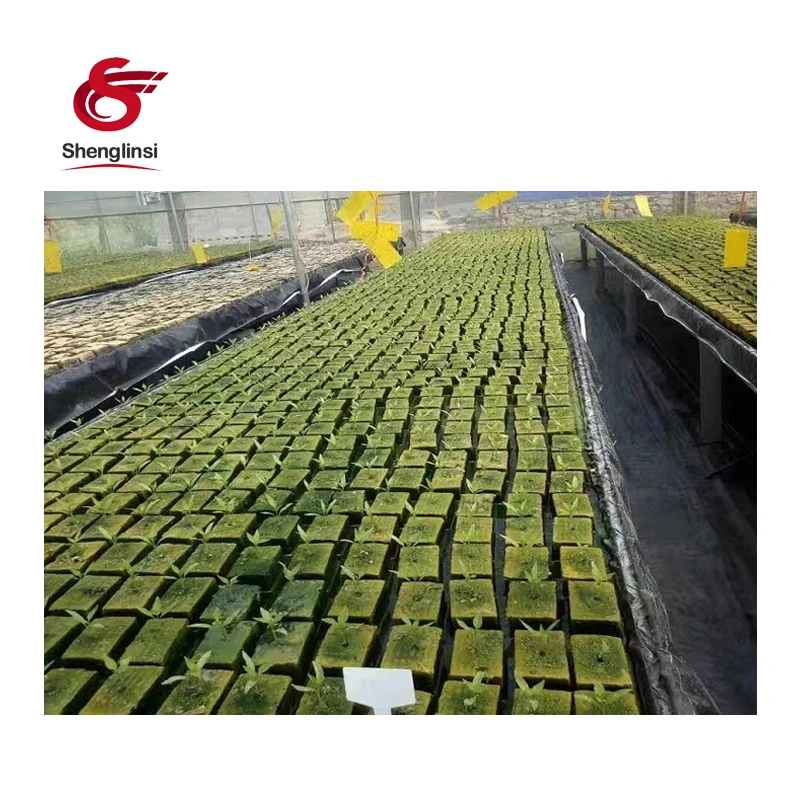 Shenglinsi  aquaponics system indoor cultivation agricultural greenhouses grow cubes rock wool hydroponic