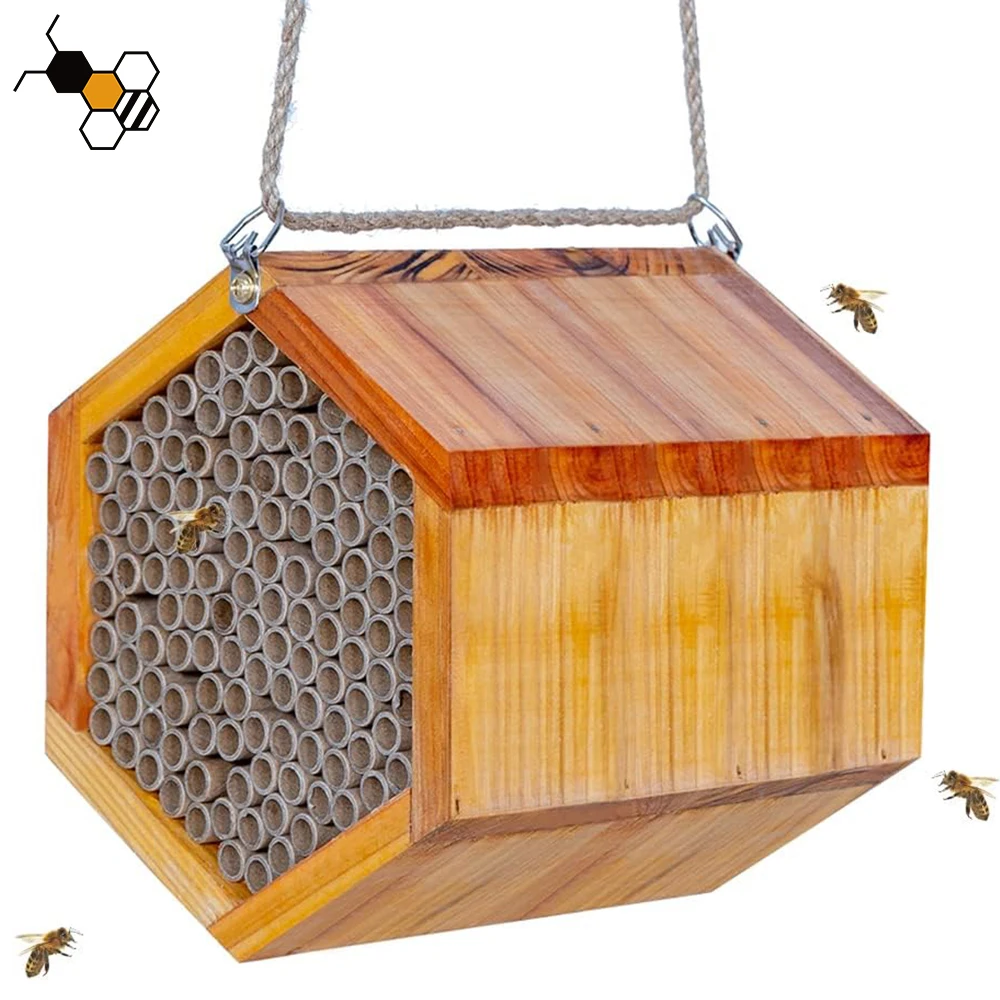Handmade Natural Wooden Bee Hive Coated with Wax for Water Proof and Long Service Life Mason Bee House