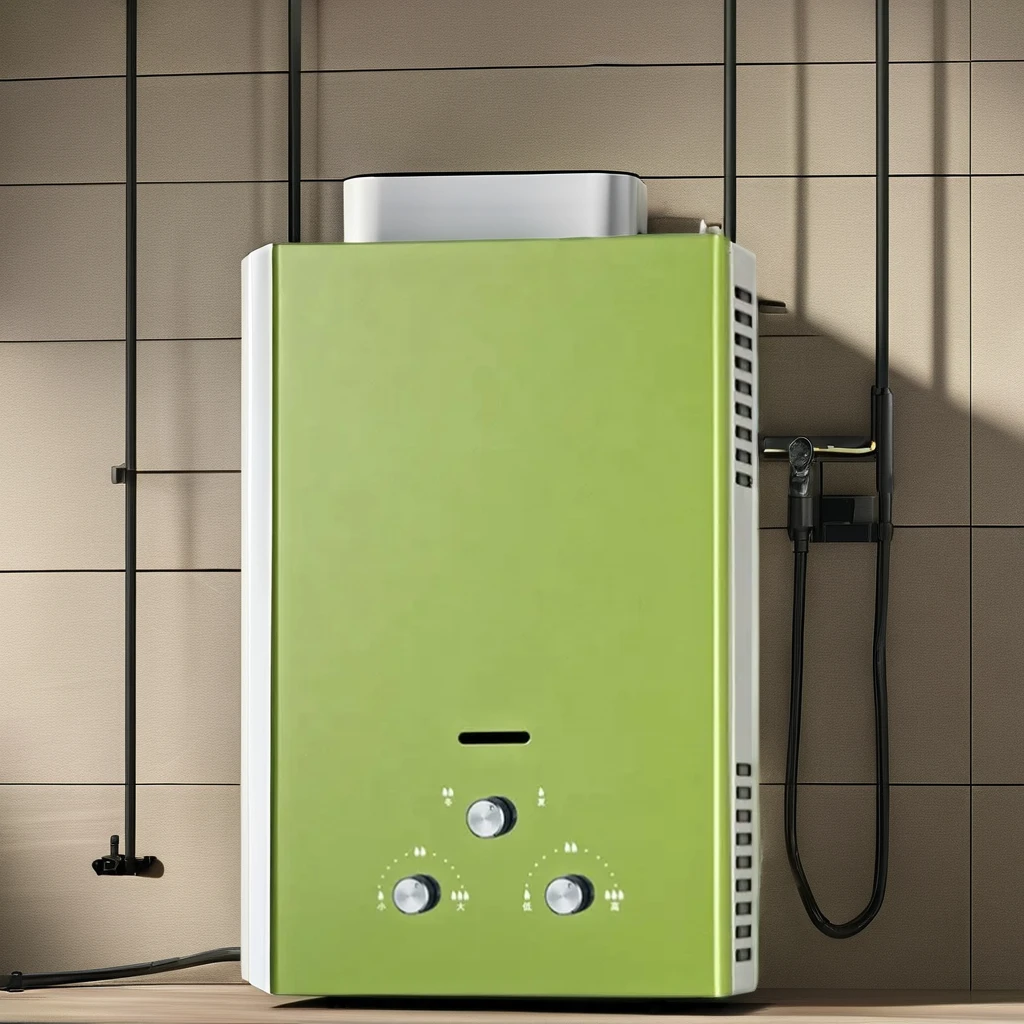 Hot Selling Gas Water Heater 10L~16L Home Appliance Instant Balanced/Forced Exhaust Type Gas Water Heater
