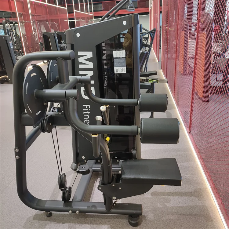 Hot-sale Matrix Lateral Raise Machine Commercial Fitness Gym Equipment Sports Workout Equipment