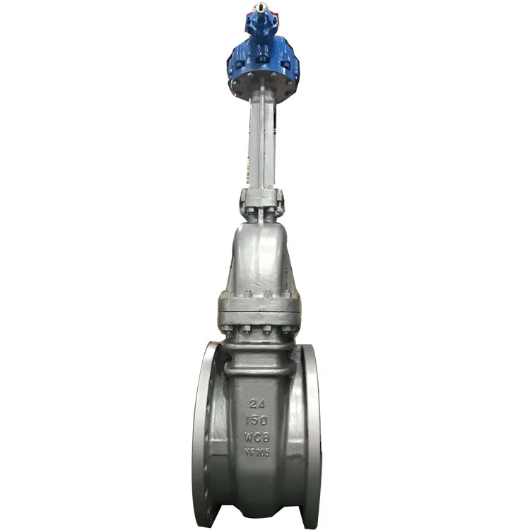 ANSI Cast Steel 10 Inch Gate Valve with Actuator