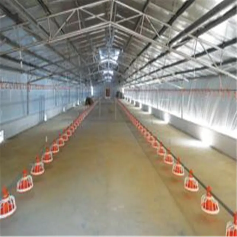 Бройлерный курятник птицеферма/Бройлерная Птицефабрика дизайн для Филиппин