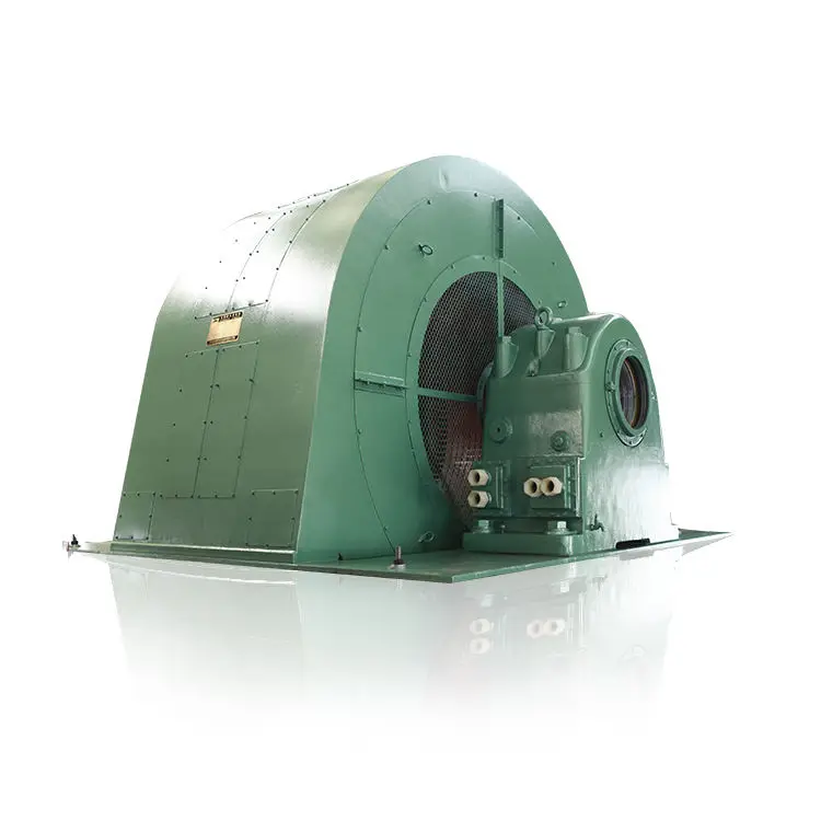 Water Powered 10W 1Kw Mini Turbine Hydro Generator