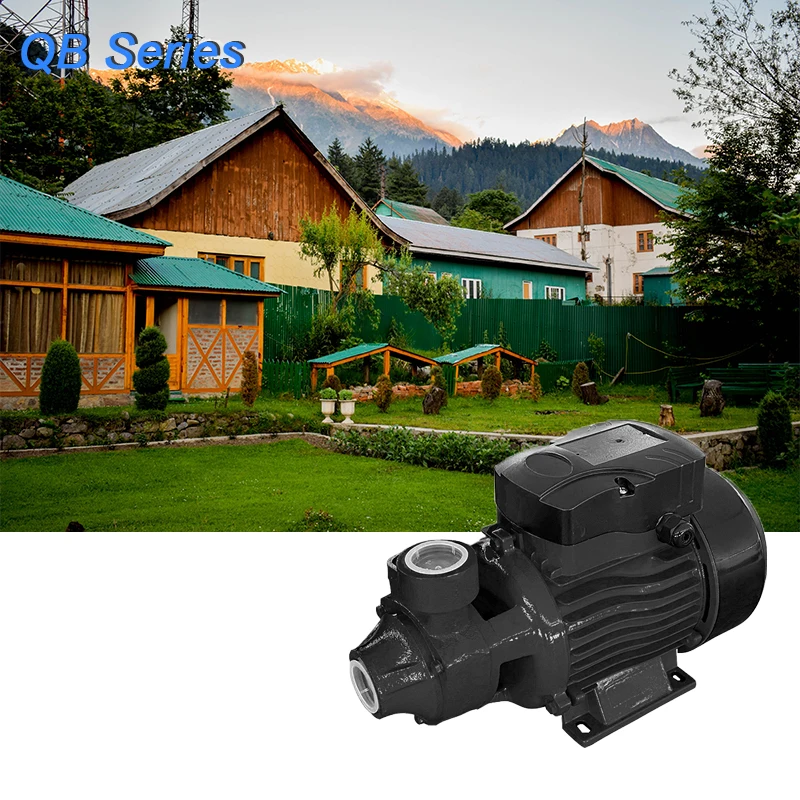 starmatrix QB60-1 0.37KW 0.5HP Cast Iron Pump Body Water Pumps Peripheral Pump For Small Living Water Supply