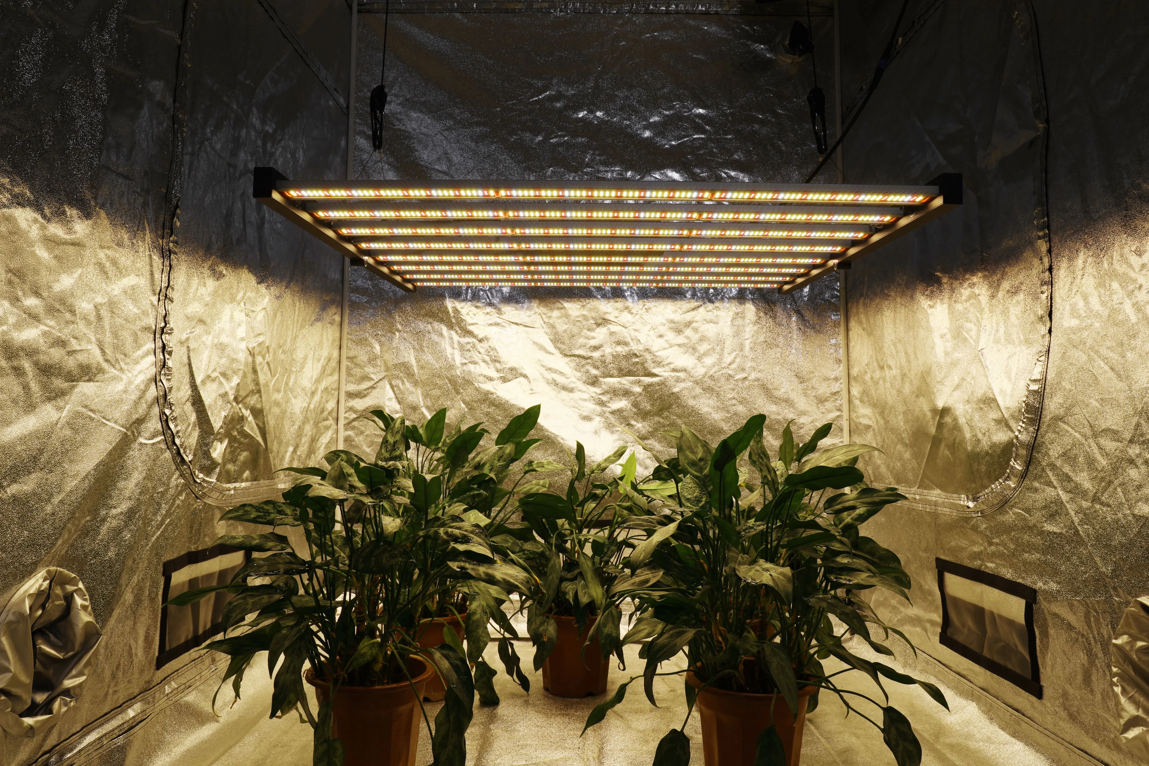 Best Growers Choice 8 bars 720W Foldable LED Grow Light High Intensticy Commercial Horticulture LED Fixtures Master Controller