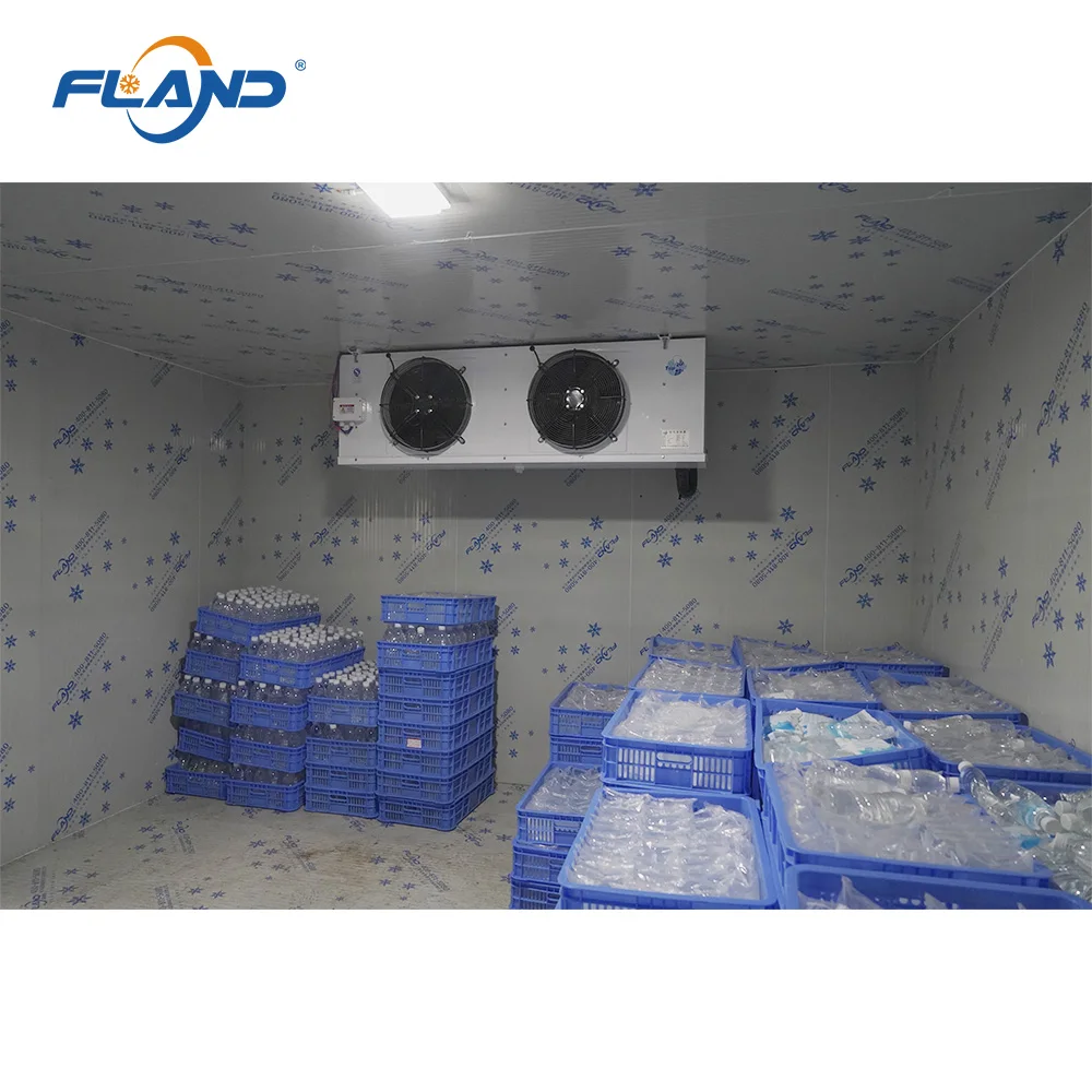 Small Cool Chamber, Walk In Freezer, Cold Storage Room for Meat Frozen