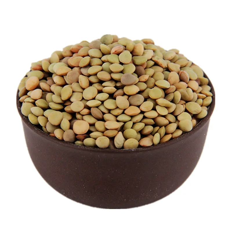 Bulk wholesale Dried green lentils Non-GMO healthy food 100% natural organic beans food legumes