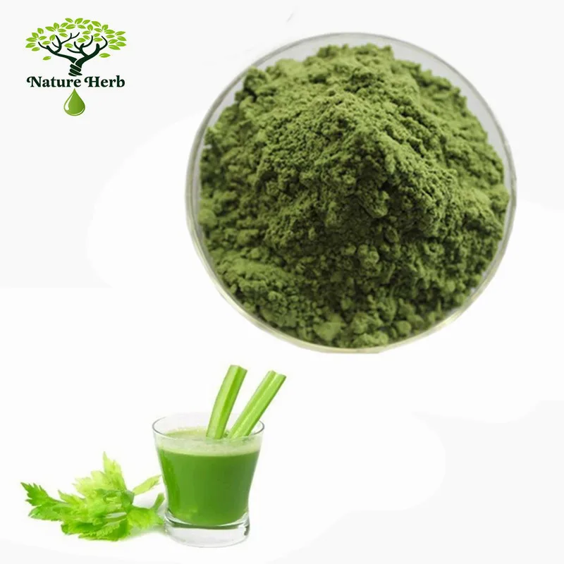 Best Quality Natural Food Additives Dehydrated Vegetable Celery Powder