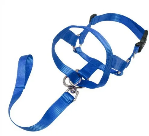 2022 Best Selling  Hot Gentle Leader Leader No Pull Dog Collar and Leash Perfect for Training