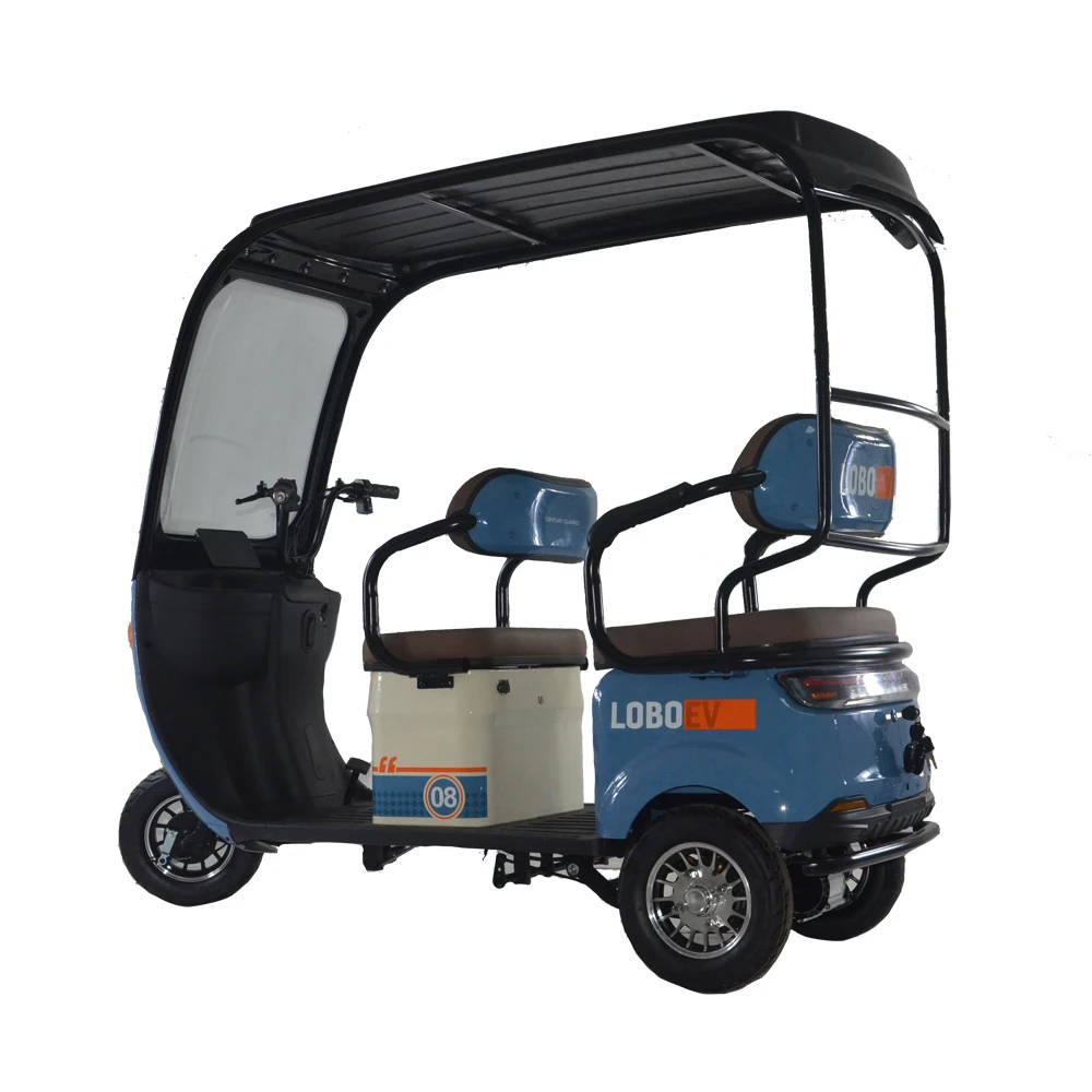 Customization ebike 3 wheels 800W Three Wheeler For Adult and Elderly New Tech  Electric Tricyle