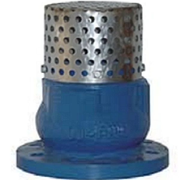 Manufacturer DIN PN16 Cast Iron GG25 Flange Foot Valve PN25
