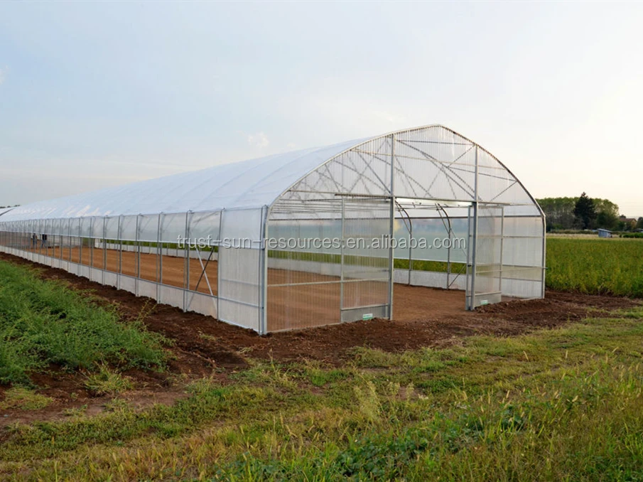 
agriculture small plastic film greenhouse tent 