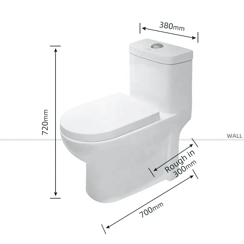Goodone Siphonic Close Coupled S Trap Bathroom Modern Toilets One Piece Ceramic closestool