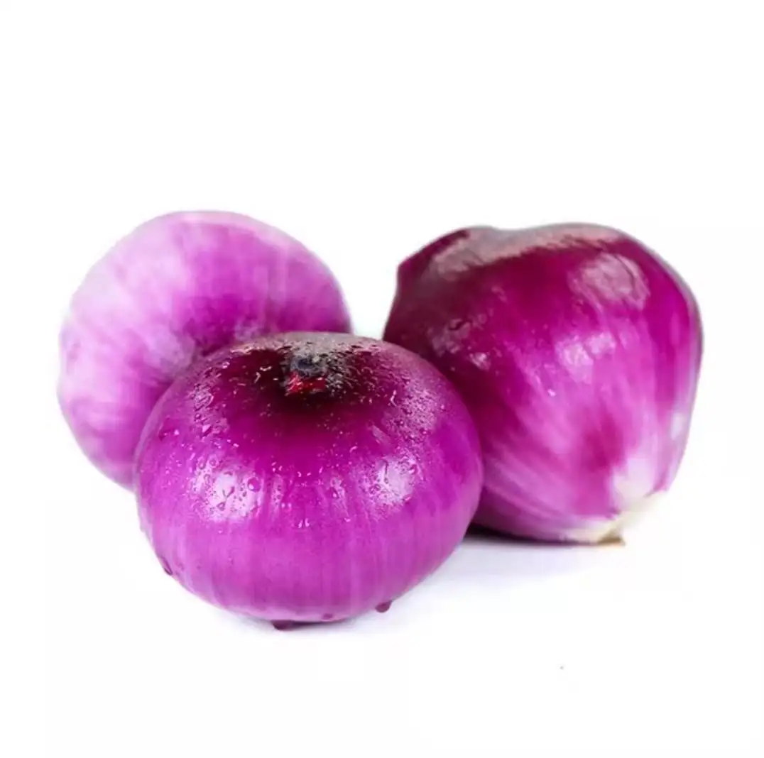 Outstanding taste 100% natural refreshing and delicious fresh organic onion