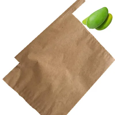 Fruit growing protection bag mango paper bag fruit cover bag