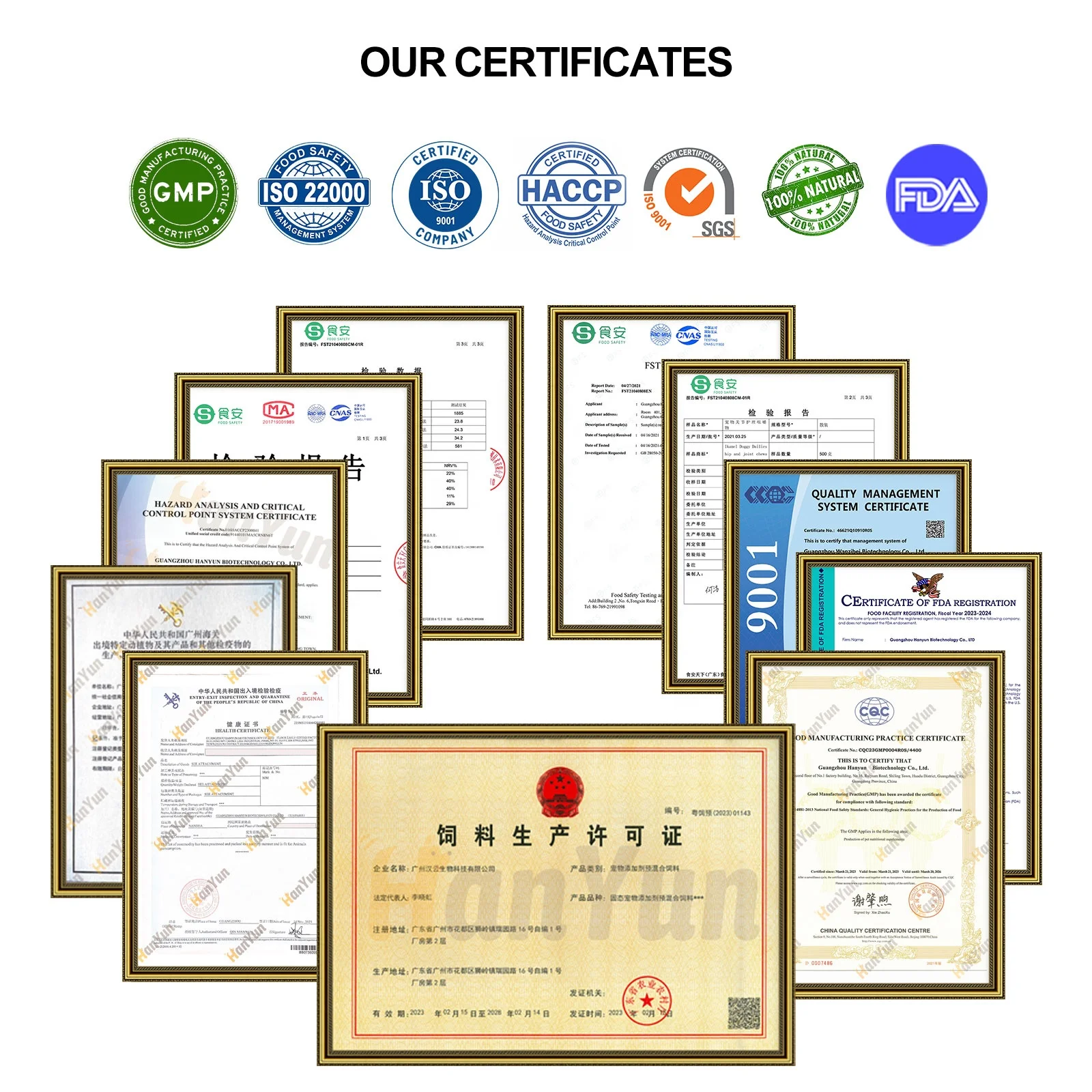 Wholesale Pet Supplement Cognition Tablets for Dogs Cats with DHA Gold Brain Health Memory Nervous System Support Free Samples