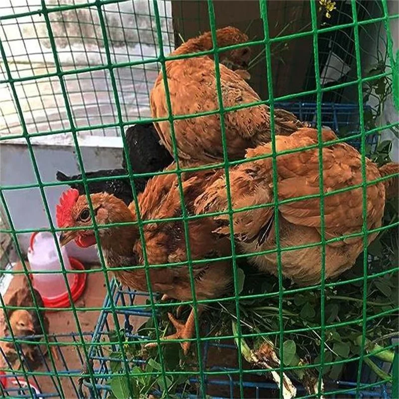 Dubai wholesale products  pvc coated 3/4inch*1.2m*15m welded wire mesh river dam fence