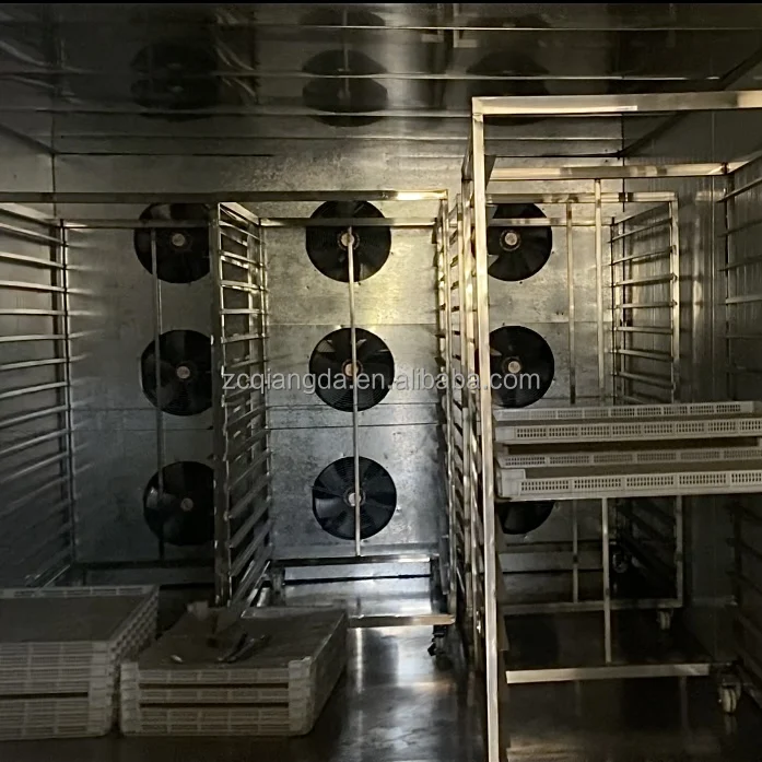 QD Fast shipping heat pump dry freeze dried fruits and vegetables coconut dehydrator black garlic drying machine price