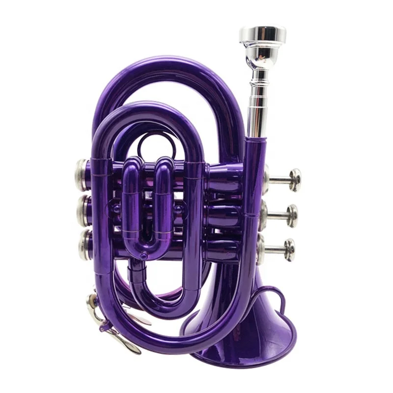 Lightweight and colorful brass Trumpet Instrument Musical B flat Trumpet for Beginners with Carrying Case and Mouthpieces