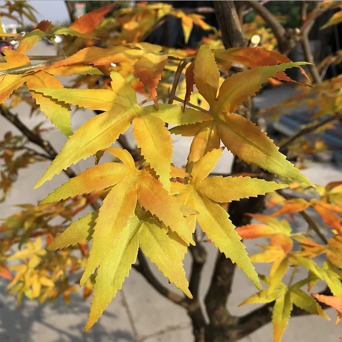 Exportable small artificial maple trees bonsai for project decoration