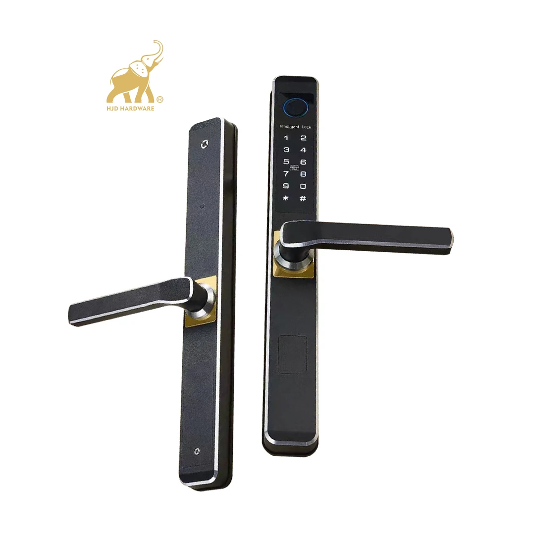 HJD 2023 new smart door lock with wifi password fingerprint TTlock 8 Language Voice Keyless black color
