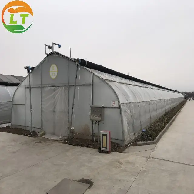 agricultural cheap plastic film blackout light deprivation tunnel green house Qualified greenhouse for plant nursery