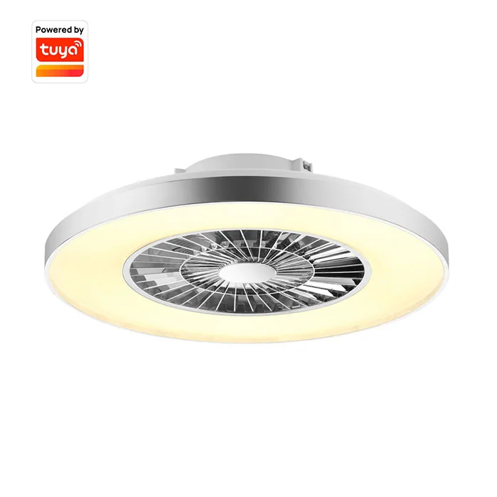 High Quality Tuya Control Modern Smart Led Ceiling Fan With Light
